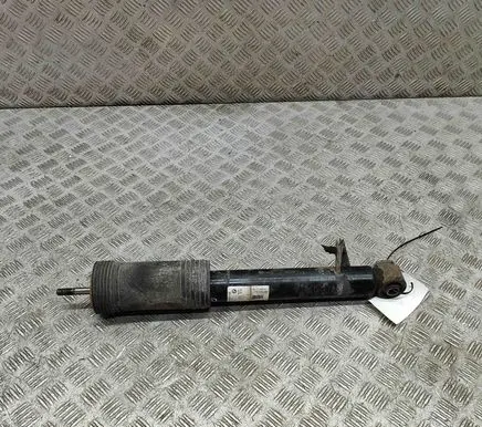Rear shock absorber/damper