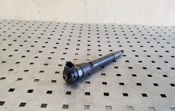 Nissan Qashqai Fuel injector H8201055367 0445110414