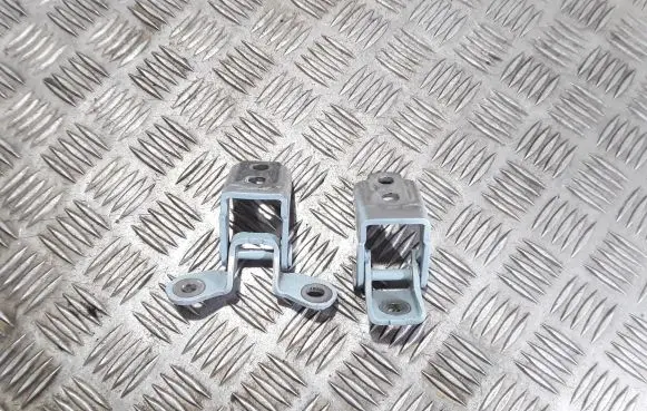 Renault Twingo III Rear door hinge set 