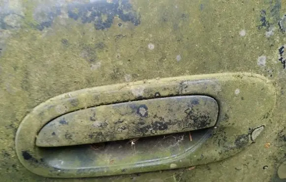 Mazda Xedos 9 Front door exterior handle