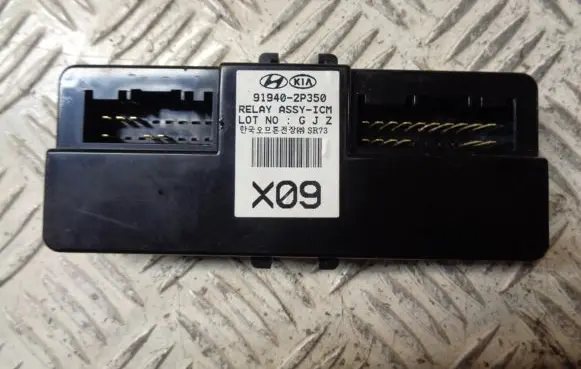 KIA Sorento Other control units/modules 919402P350