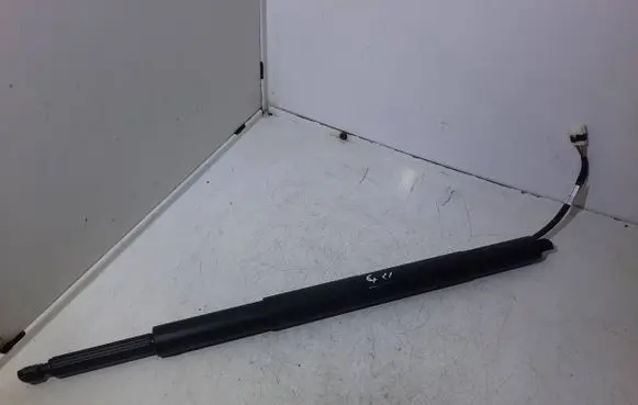 Tailgate strut