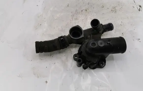 Thermostat/thermostat housing