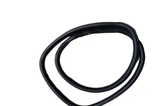 Renault Talisman Rear door rubber seal (on body) 