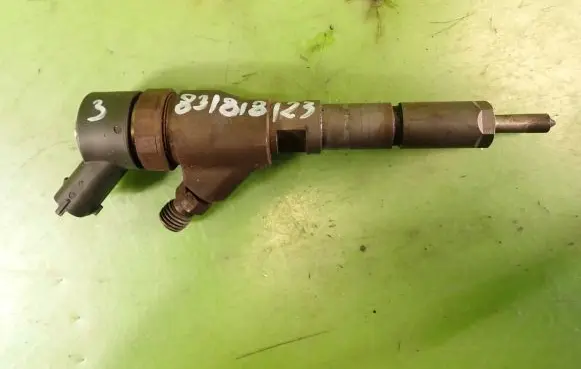 Citroen C5 Fuel injector