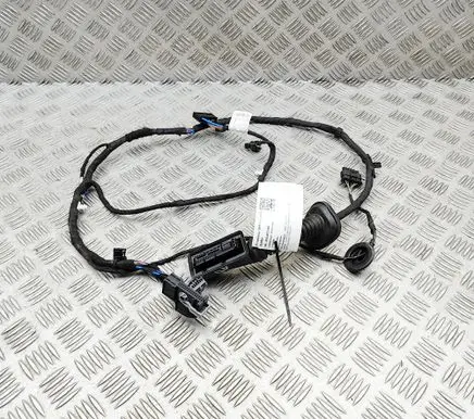 BMW X2 U10 Front door wiring loom 5B32191