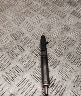 Renault Clio III Fuel injector 28237259