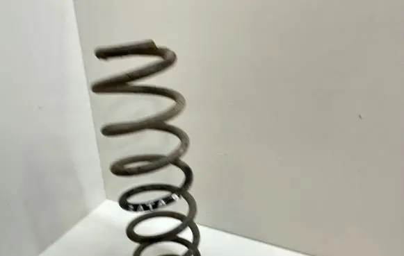 Volkswagen Jetta V Rear coil spring