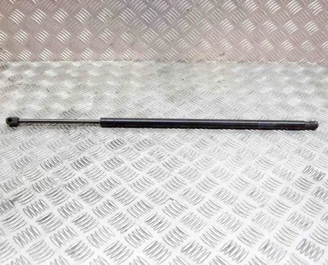 Tailgate/trunk strut/damper