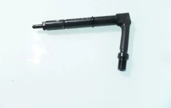 Nissan Almera Tino Fuel injector 1202Z484391