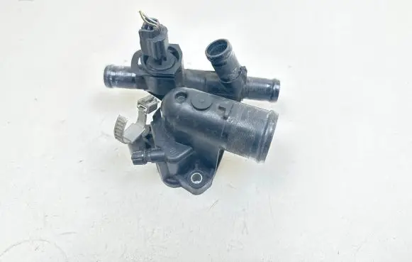 Thermostat/thermostat housing