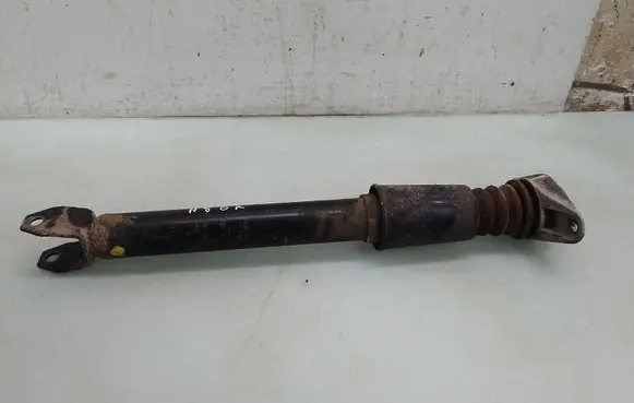 Rear shock absorber/damper
