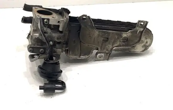 Volkswagen Touran I EGR valve cooler 038131513AD
