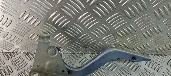 Toyota C-HR I Engine bonnet/hood hinges