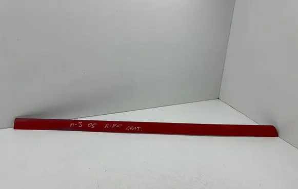 Audi A3 S3 8P Front door trim (molding) 