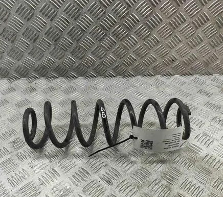 Rear coil spring