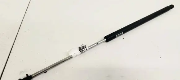 Tailgate/trunk strut/damper