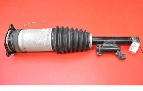 Tesla Model S Rear shock absorber/damper 1066466-00-C