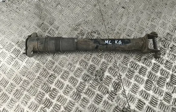Rear shock absorber/damper