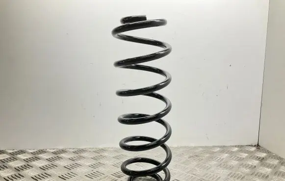 Volkswagen Jetta VI Rear coil spring CS1219 GS0921