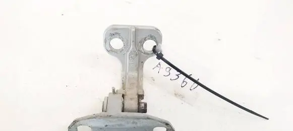 Rear door lower hinge