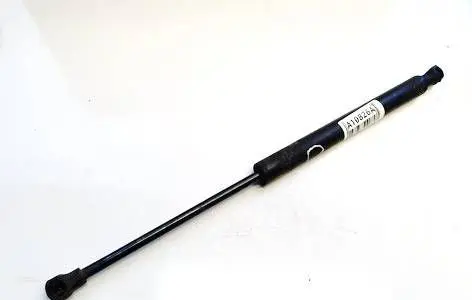 Tailgate/trunk strut/damper