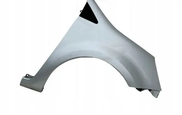 Renault Modus Fender