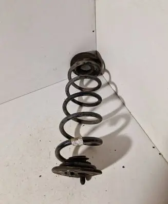 Rear coil spring