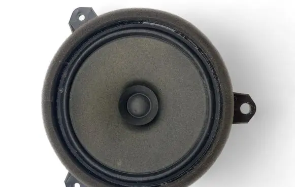 Front door speaker