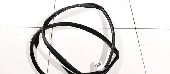 Infiniti QX50 (J50) Rubber seal rear door 