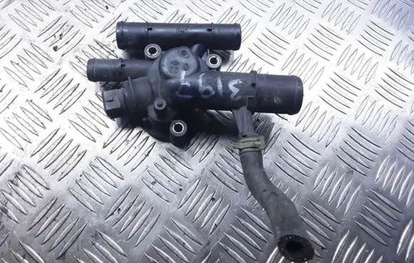 Thermostat/thermostat housing