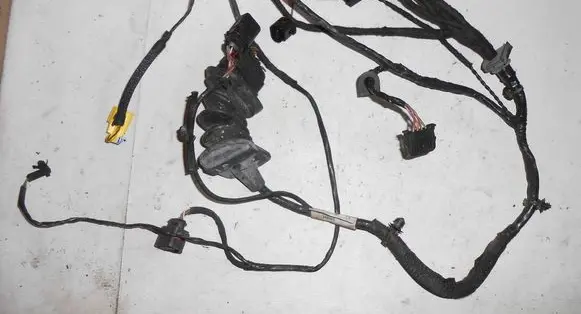 Seat Leon (1P) Front door wiring loom 1P1971120D