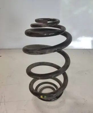 Rear coil spring
