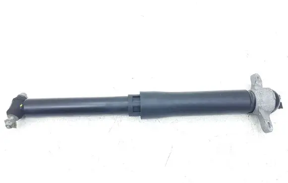 Ford Escape IV Rear shock absorber/damper LX6118080 LX6118080NBE LX6118A116