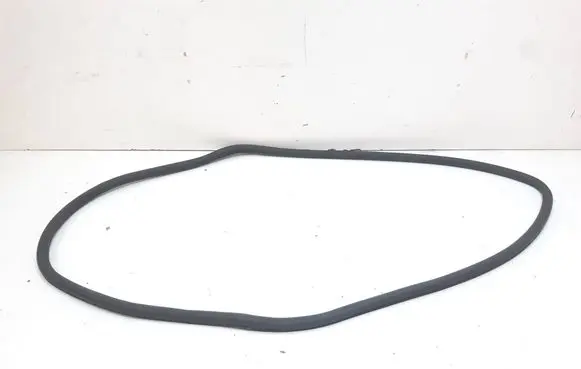 BMW 7 F01 F02 F03 F04 Rear door rubber seal (on body) 4445360