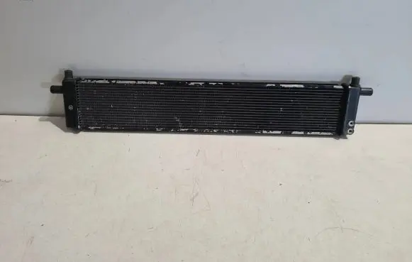 Lexus NX Optional radiator 