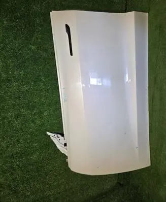 Tesla Model 3 Front door 