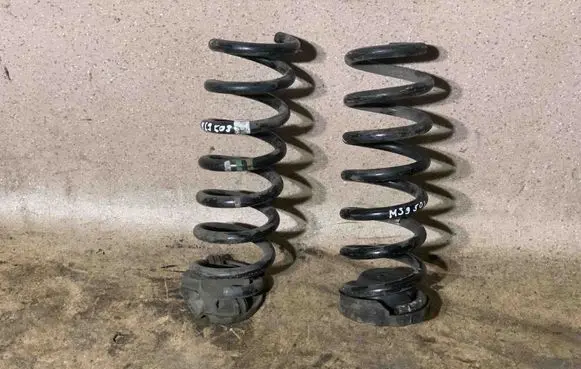 Rear coil spring