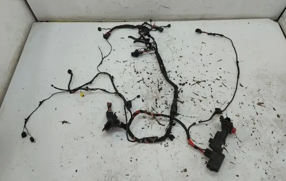 Engine installation wiring loom