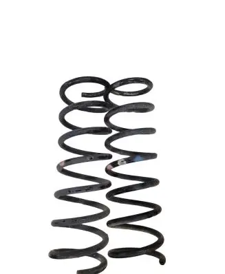 Ford Focus Rear coil spring