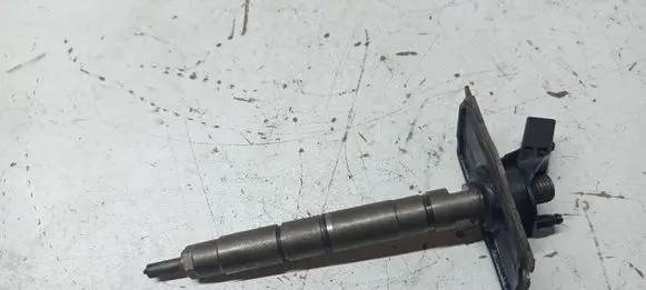 Audi A4 S4 B7 8E 8H Fuel injector 0445115
