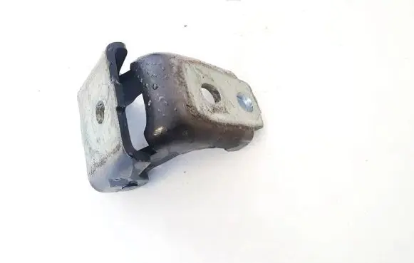 Renault Scenic III - Grand scenic III Rear door lower hinge 804200003