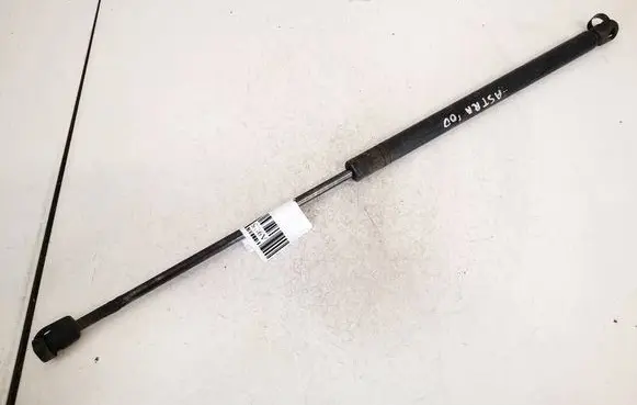 Tailgate/trunk strut/damper