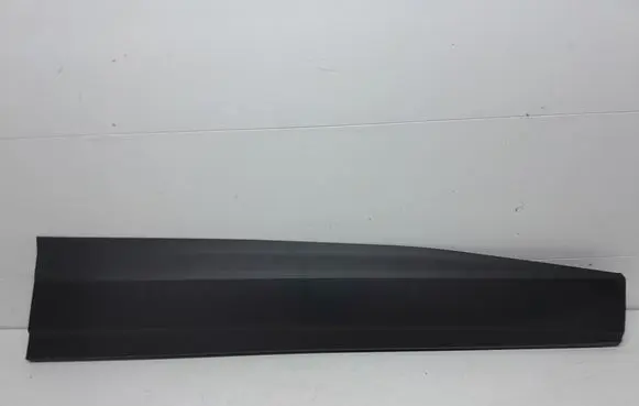Front door trim (molding)