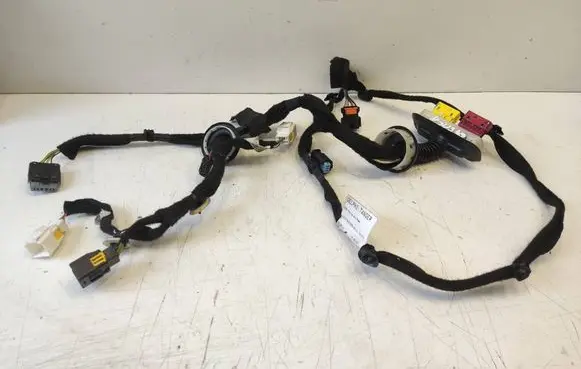 Front door wiring loom