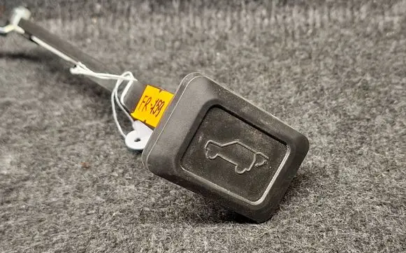 Toyota RAV 4 (XA40) Tailgate/trunk/boot open switch 15A718