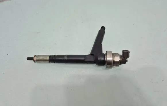 Opel Combo C Fuel injector 8973138616