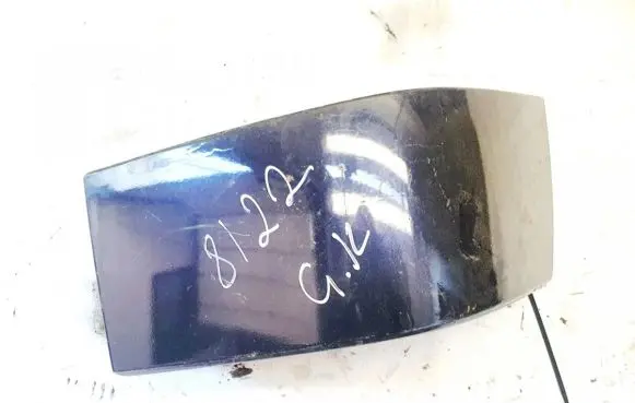 Rear/tail light trim molding