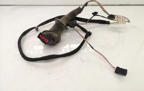 Rear door wiring loom
