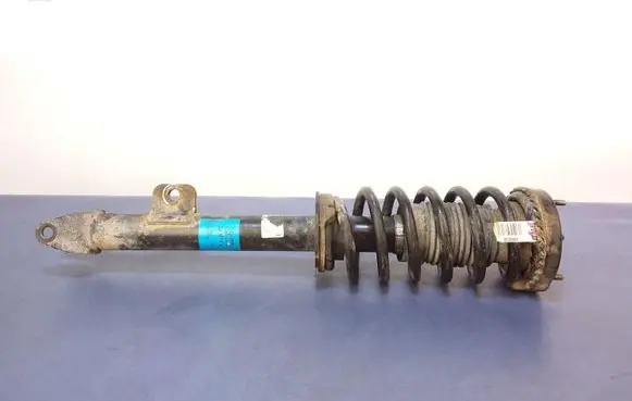 Dodge Charger Front shock absorber with coil spring 04895627AB